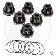 Kit valvole O-ring per pompa a membrana AR115 ANNOVI 6702370 | NewgardenParts.com