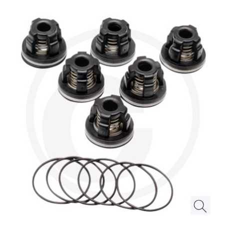 Kit de vanne à joint torique pour pompe à membrane AR115 ANNOVI 6702370 | NewgardenParts.com