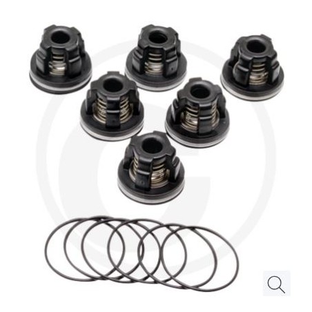 Kit valvole O-ring per pompa a membrana AR115 ANNOVI 6702370 | NewgardenParts.com