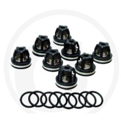 Kit valvole O-ring per pompa a membrana AR160 185 ANNOVI 6702374 | NewgardenParts.com