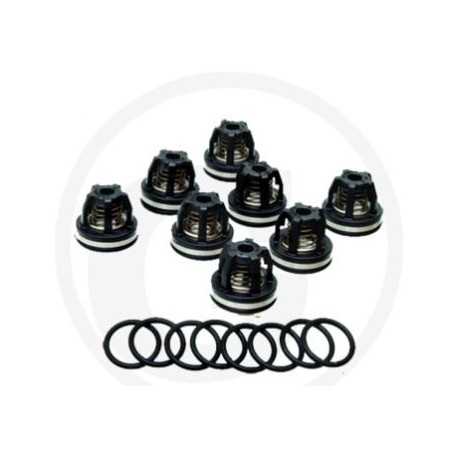 Kit valvole O-ring per pompa a membrana AR160 185 ANNOVI 6702374 | NewgardenParts.com