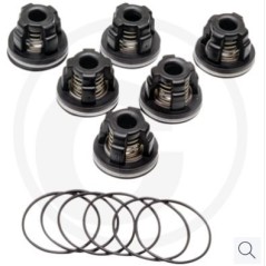 Kit valvole O-ring per pompa a membrana AR45 bp C blue flex ANNOVI 67042524 | NewgardenParts.com