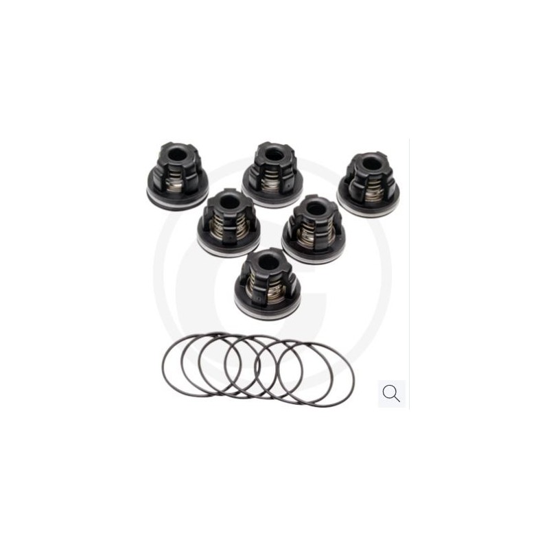 Kit valvole O-ring per pompa a membrana AR45 bp C blue flex ANNOVI 67042524