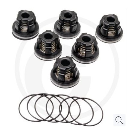 Kit valvole O-ring per pompa a membrana AR45 bp C blue flex ANNOVI 67042524 | NewgardenParts.com