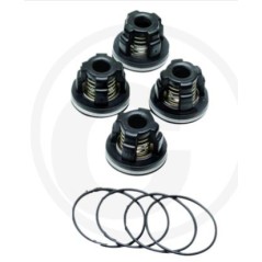 Kit valvole O-RING per pompa a membrana AR70 ANNOVI 6702364 | NewgardenParts.com