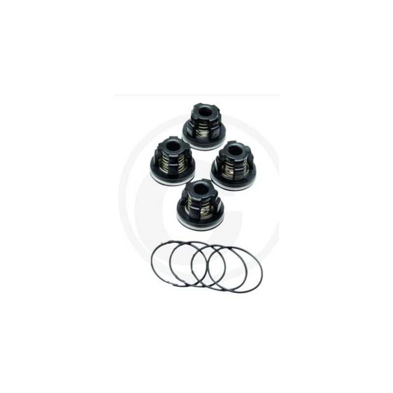 Kit válvula O-RING para bomba de membrana AR70 ANNOVI 6702364