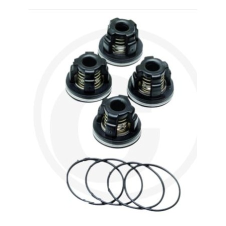 Kit valvole O-RING per pompa a membrana AR70 ANNOVI 6702364 | NewgardenParts.com