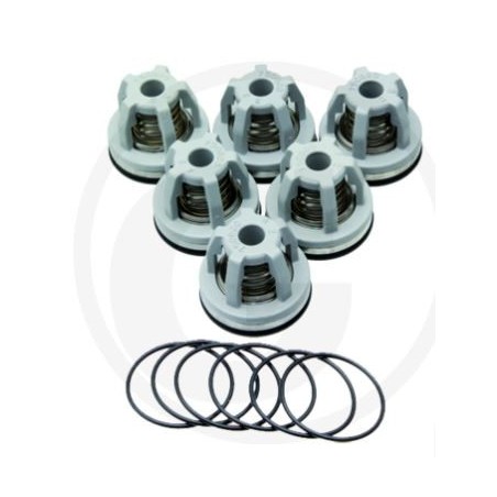 Kit valvole o-ring per pompa a membrana BHA 130 AP C/C ANNOVI 6702445 | NewgardenParts.com