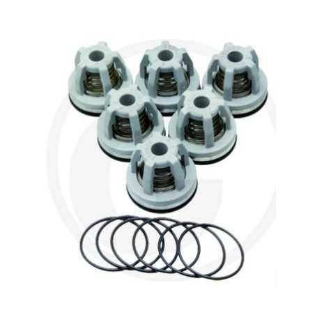 O-Ring-Ventilsatz für die Membranpumpe BHA 130 AP C/C ANNOVI 6702445 | NewgardenParts.com