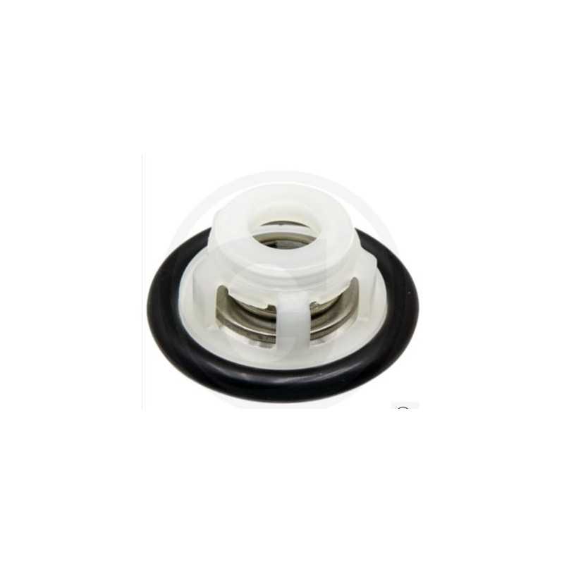 Kit de válvulas para bomba de membrana BP 205K BP 235K BP 235 C/C ANNOVI 6701220006500