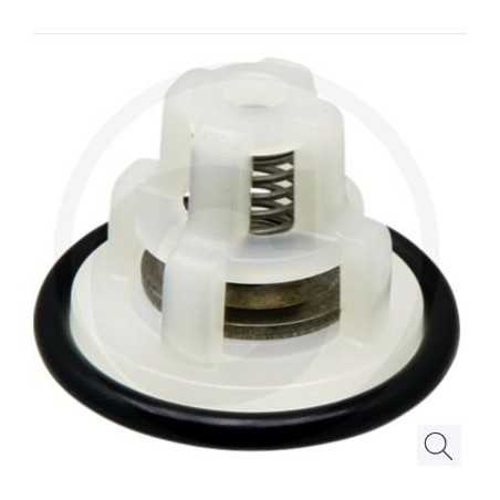 Kit de valves pour pompe à membrane BP 75 ANNOVI 6701220007000 | NewgardenParts.com