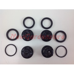 Kit de válvula UNIVERSAL para bomba Bertolini 55S 002856 | NewgardenParts.com