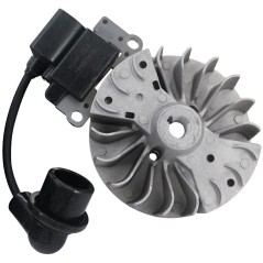Kit volante bobina electrónica compatible con motor pulverizador KASEI 3WZ-7E | NewgardenParts.com