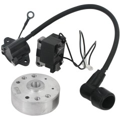 Kit volano bobina elettronica compatibile motore KASEI soffiatore EB-420-E | NewgardenParts.com