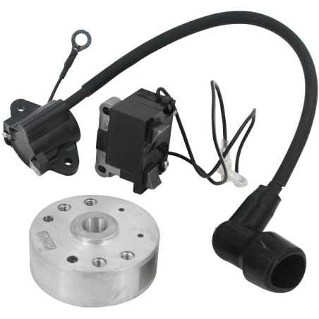 Schwungradsatz elektronische Spule kompatibel mit KASEI Gebläsemotor EB-420-E | NewgardenParts.com