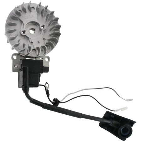 Kit volano bobina elettronica compatibile motore KASEI tagliasiepi SLP600-E | NewgardenParts.com