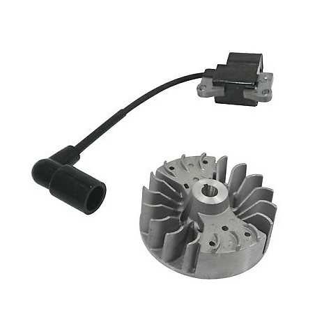 Flywheel coil kit KASEI blower engine EBV260-3E EBV260-3E | NewgardenParts.com