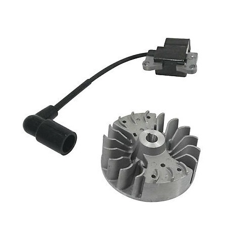 Kit volano bobina motore soffiatore KASEI EBV260-3E EBV260-3E.1.3-1 - EBV260-3E | NewgardenParts.com