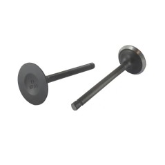 Kit: valvole aspirazione scarico ORIGINALE STIGA trattorino tagliaerba 118551289/0 | NewgardenParts.com