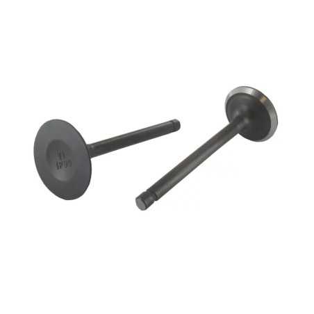 Kit: Einlass-Auslassventile ORIGINAL STIGA Rasentraktor 118551289/0 | NewgardenParts.com