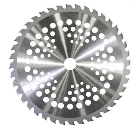 Blade 40 teeth widia brushcutter standard model 255 mm bore 25.4 mm | NewgardenParts.com