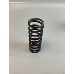 FRÜHLING D.36 L-99 F-4 ORIGINAL GOLDONI 00058245 | NewgardenParts.com
