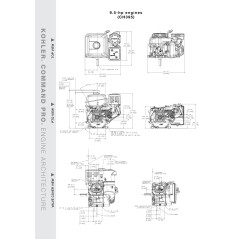 KOHLER moteur COMPLET CH395 moteur conique 23 mm motoculteur 9.5 HP | NewgardenParts.com