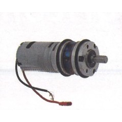 Motore con pignone scuotiolive MAORI per VARENNE - 018814