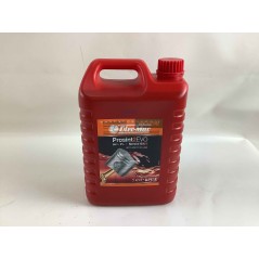 PROSINT 2 EVO huile de mélange Oleomac Efco 2 temps tronçonneuse débroussailleuse 5 LT