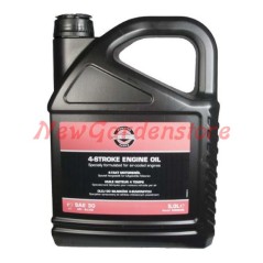 Engine Oil 4T SAE 30 5 l Briggs & Stratton 100009E 320363 | NewgardenParts.com