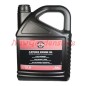 Engine Oil 4T SAE 30 5 l Briggs & Stratton 100009E 320363
