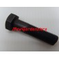 Vite mozzo lama bullone sinistro TC trattorino rasaerba tagliaerba 3/8" 37 mm