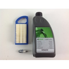 Lawn tractor maintenance kit with BRIGGS&STRATTON 12.5 HP engine | NewgardenParts.com