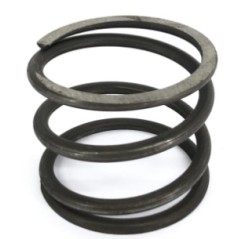 RESORTE DEL EMBRAGUE ORIGINAL GOLDONI 00019712 | NewgardenParts.com