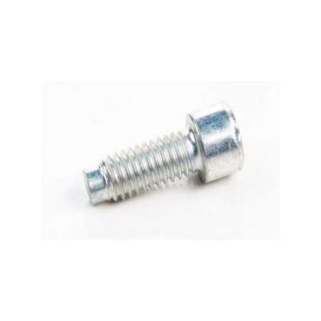 BRIGGS & STRATTON Original Rasenmähermotorschraube 690363 | NewgardenParts.com