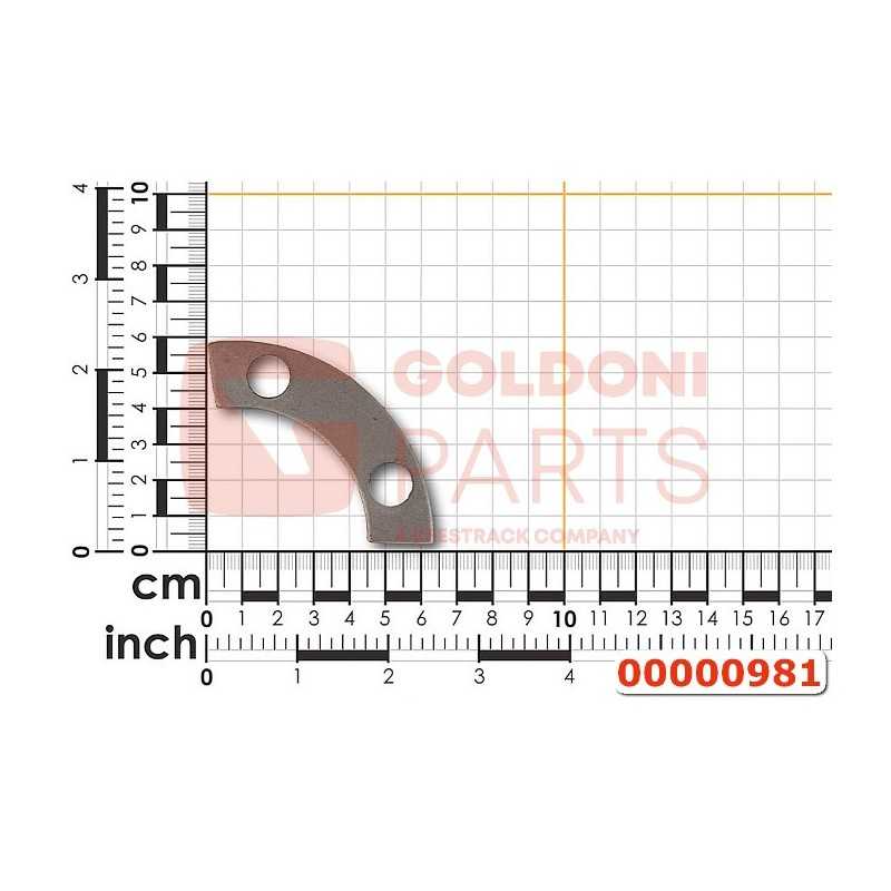 SHEET METAL SCREW RETAINER ORIGINAL GOLDONI 00000981
