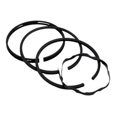 Original BRIGGS & STRATTON 294224 lawnmower engine rings | NewgardenParts.com