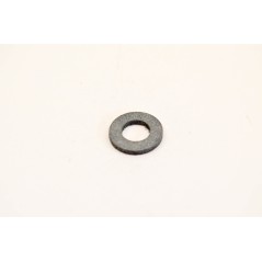 Anello originale Briggs & Stratton 493823 | NewgardenParts.com