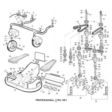 Tongue A 6X6X30 TOPGREEN ORIGINAL GIANNI FERRARI BFB 00111000174 | NewgardenParts.com
