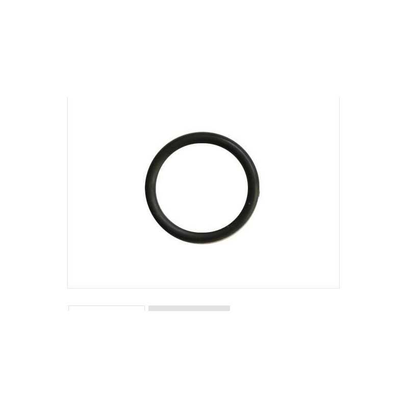 Anello tenuta collettore aspirazione rasaerba BRIGGS 270344 quantum carburatore