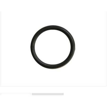 Anello tenuta collettore aspirazione rasaerba BRIGGS 270344 quantum carburatore | NewgardenParts.com