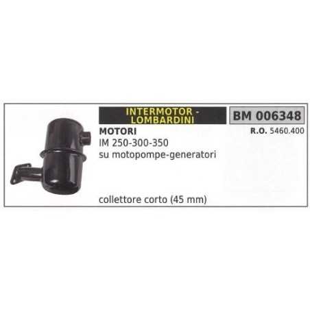 LOMBARDINI Schalldämpfer Motor-Pumpen-Generator IM 250 300 350 006348 | NewgardenParts.com