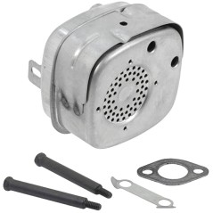 Silencieux B&S pour tondeuse à gazon 4-5-8HP verticale R210161 | NewgardenParts.com