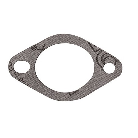 Guarnizione aspirazione lato filtro aria modelli G200 16269883000 HONDA | NewgardenParts.com