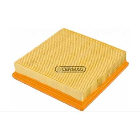 Masa filtrante de panel cuadrado para motor de máquina agrícola LOMBARDINI 6LD260 | NewgardenParts.com