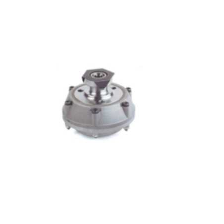 Mécanisme d'embrayage cône 17 Ø 103x96 BERTOLINI motoculteur série 307 | NewgardenParts.com