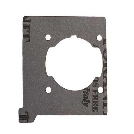 Brushcutter cylinder base gasket models 44 SPARTA42 OLEOMAC 61350272R | NewgardenParts.com