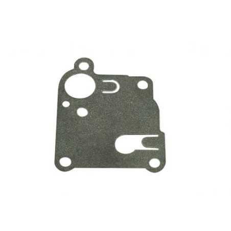 Motormembrane BRIGGS&STRATTON 09 vertikal cod. 270253 | NewgardenParts.com