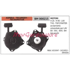 Inbetriebnahme ASPERA Rasenmähermotor Rasenmäher H 25 40 LAV TVS 590706 | NewgardenParts.com
