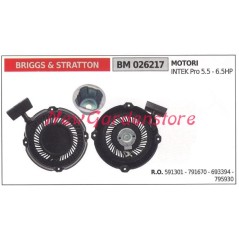 Start-up BRIGGS & STRATTON lawn mower engine lawn mower 026217 | NewgardenParts.com